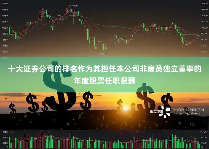 十大证券公司的排名作为其担任本公司非雇员独立董事的年度股票任职报酬