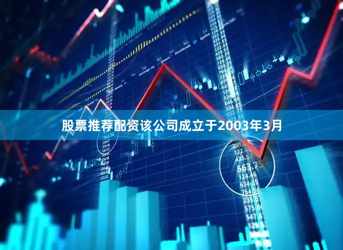股票推荐配资该公司成立于2003年3月
