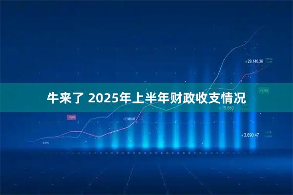 牛来了 2025年上半年财政收支情况