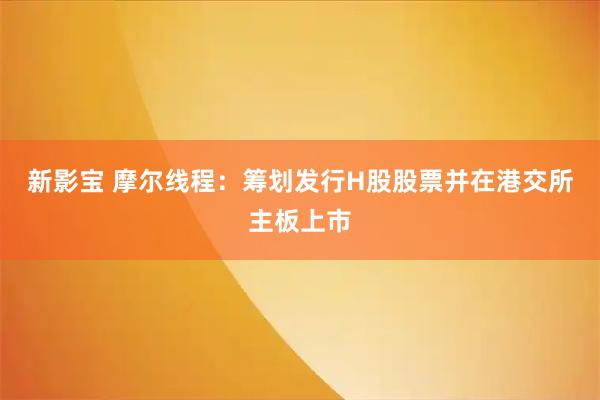 新影宝 摩尔线程：筹划发行H股股票并在港交所主板上市