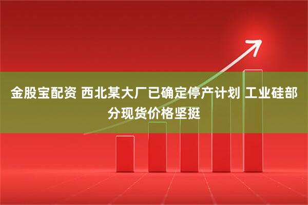 金股宝配资 西北某大厂已确定停产计划 工业硅部分现货价格坚挺